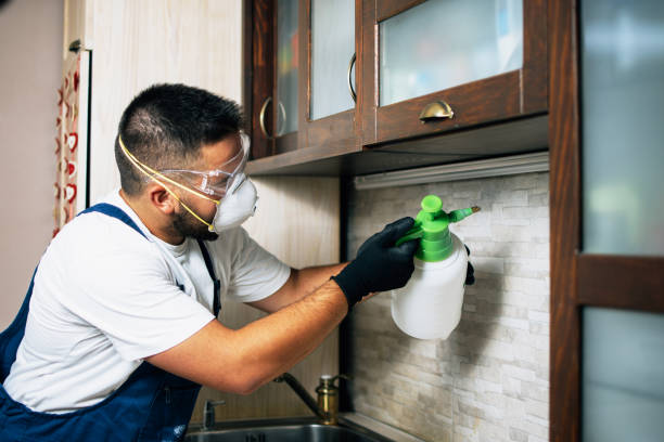 Best Wasp Removal Services  in North Sarasota, FL