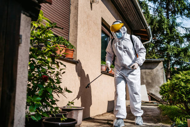 Best Pest Inspection Near Me  in North Sarasota, FL