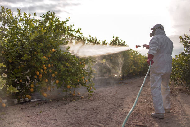 Best Local Pest Control Services  in North Sarasota, FL